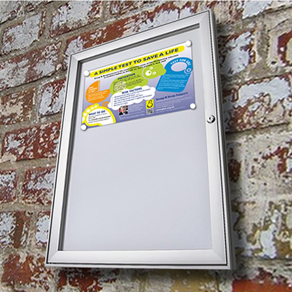 Budget External Noticeboard White Light Display
